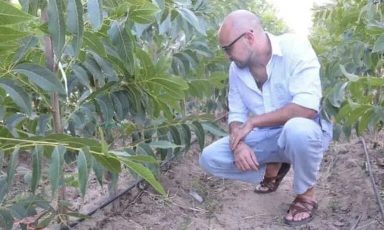 Abel Pintos habló de su nueva "changa rural": el particular cultivo que plantó en su campo