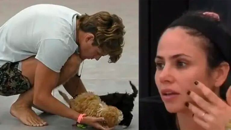 Salven a Caramelo: juntan firmas para que Romina no se lleve al perrito