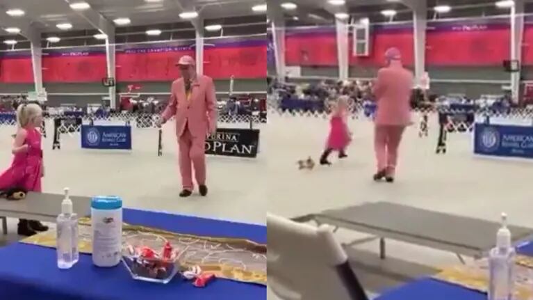  El tierno video de una nena con autismo que participa de un concurso canino con su perro de peluche