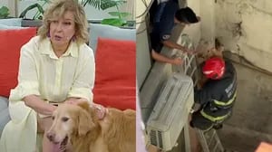 Georgina Barbarossa mostró el emotivo rescate del perro abandonado y desnutrido en Palermo: el video