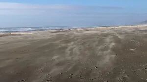 El fuerte viento soplando sobre en una playa de Oregón crea ondas serpenteantes en la arena