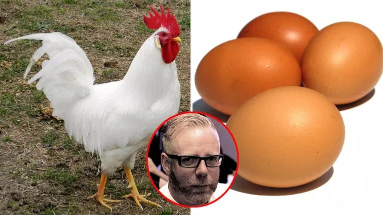 Un científico aclaró qué fue primero, el huevo o la gallina: el huevo