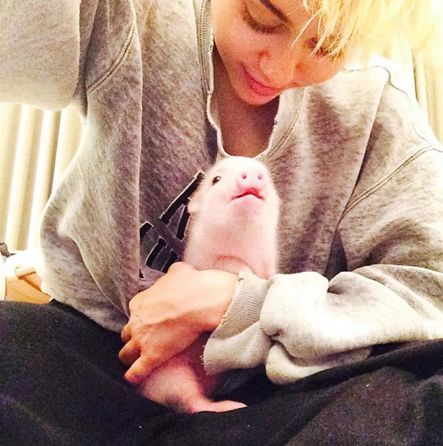 Miley Cyrus y su extravagante nueva mascota. (Foto: Instagram)