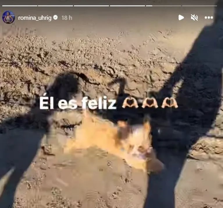 Romina Uhrig disfrutó de la playa con sus hijas y Caramelo, el perrito que adoptó en Gran Hermano: "Mis amores más puros"