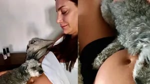 El perro de Lu abraza su pancita mientras duerme la siesta.