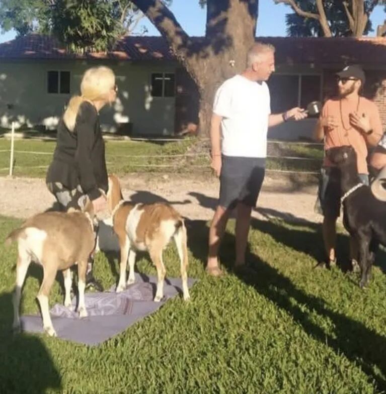 Marley y Susana Giménez practicaron yoga con cabras en Miami: "Se relajan con nosotros"