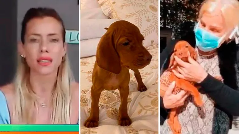 Nicole Neumann cuestionó la decisión de Susana Giménez de devolver a su nueva perrita