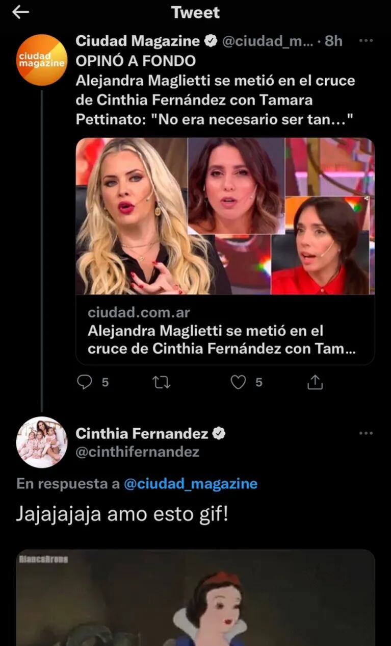 La irónica reacción de Cinthia Fernández contra Alejandra Maglietti por cuestionar su respuesta a Tamara Pettinato: "¿Alguien pidió tu opinión?"