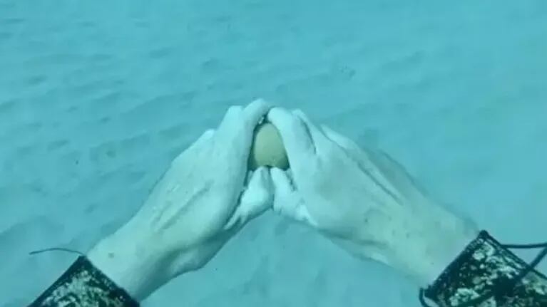 El experimento que demuestra qué ocurre cuando rompes un huevo bajo el agua se hace viral