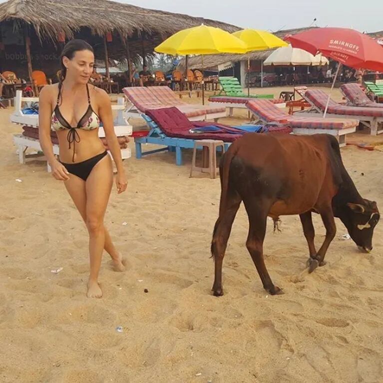 Eleonora Wexler, trabajo y relax en las playas de la India, donde las vacas son sagradas