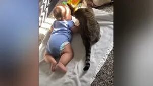 Una madre primeriza ha captado la estupenda relación de su bebé con un gato callejero