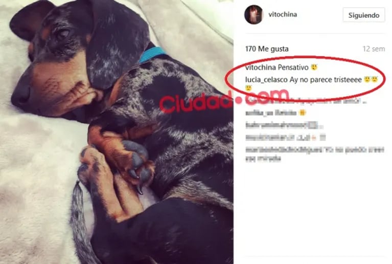 Los mensajes de Lucía Celasco en el Instagram de Vito Rodríguez, antes de la furiosa reacción de Mecha Sarrabayrouse con la pareja de su ex