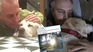 El dolor de Marley por la muerte de su mascota Wylie: "¡Gracias por tanto amor y tanta luz!"
