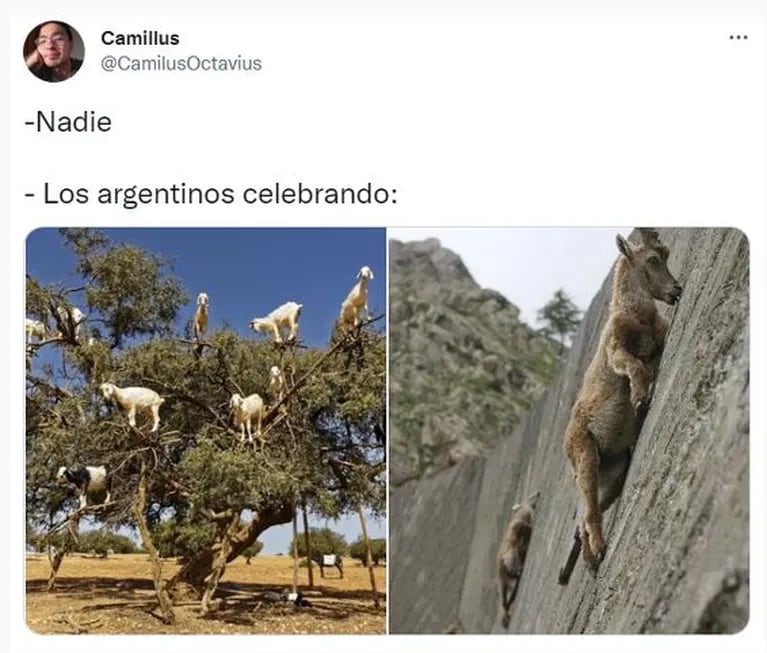 Los mejores memes de la caravana Argentina en su festejo por la Copa del Mundo