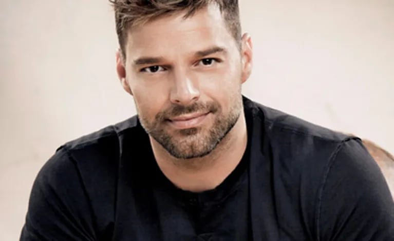 Ricky Martin se convertiría en papá de una niña. (Foto: Web)