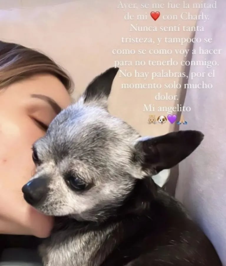 El dolor de Mica Tinelli por la muerte de su mascota: "Nunca sentí tanta tristeza"