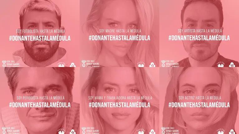 Solidaridad indolora: lanzan la campaña “#DonanteHastaLaMédula” para promover la donación de Médula Ósea