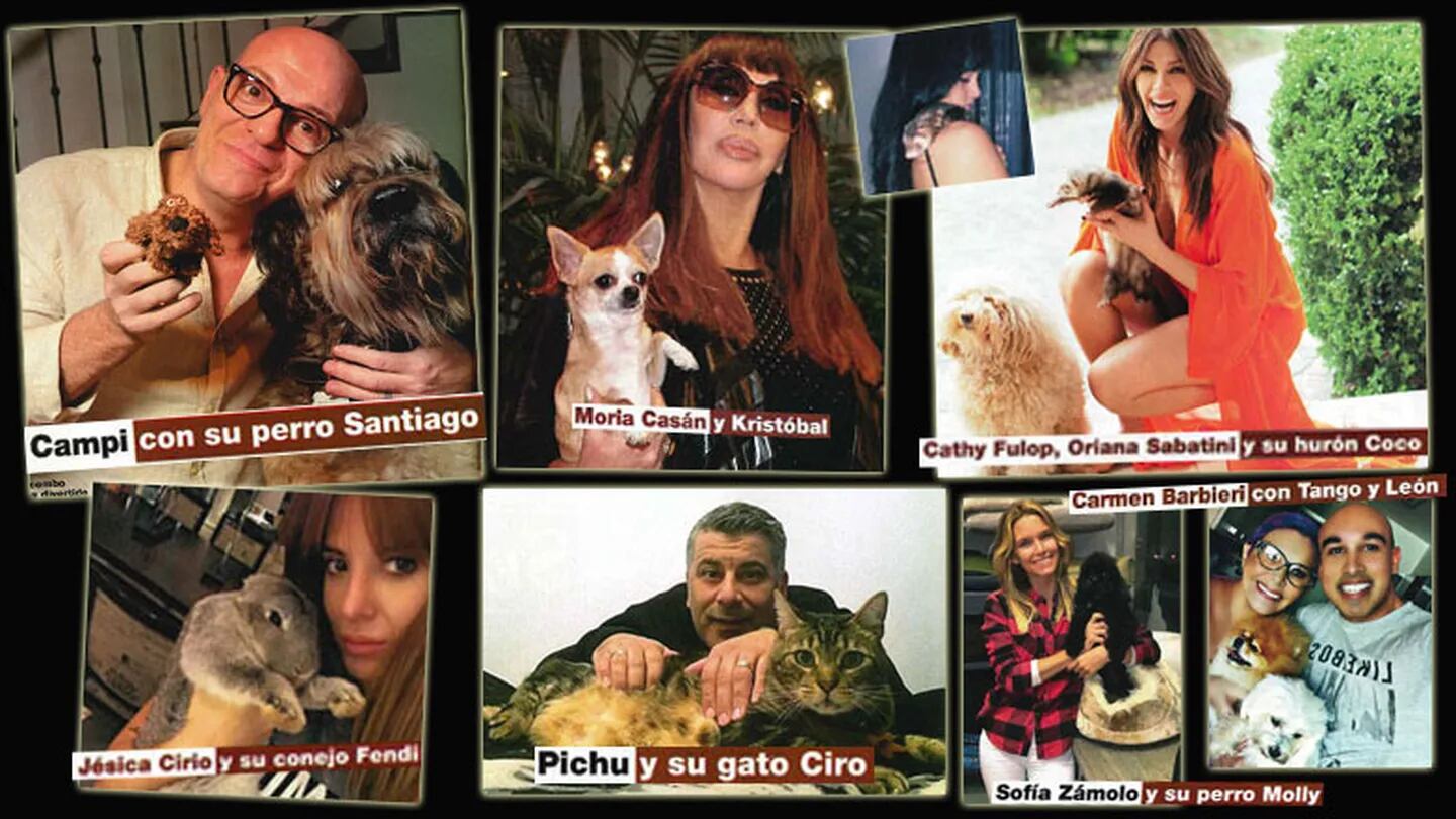 Los famosos presentaron a sus simpáticas mascotas. (Fotos: revista Gente)