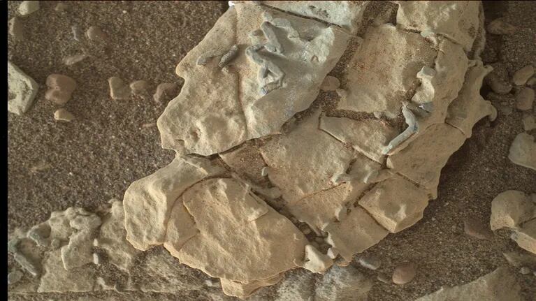  Imágenes de Martes revelan formas que se asemejan a los fósiles terrestres