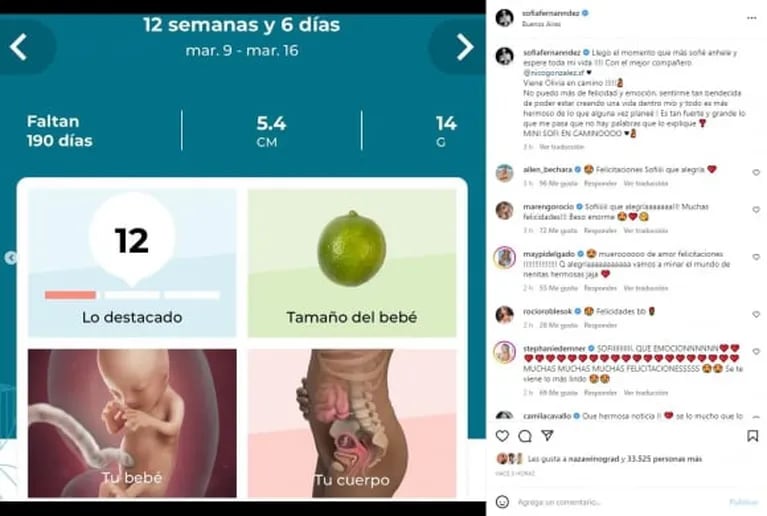 Sofía Fernández, exazafata de Guido Kackza, anunció que está embarazada: "Estoy creando una vida dentro mío"