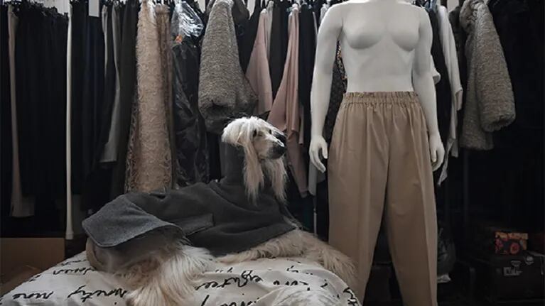 Modista italiana crea ropa de lujo y a la medida para perros