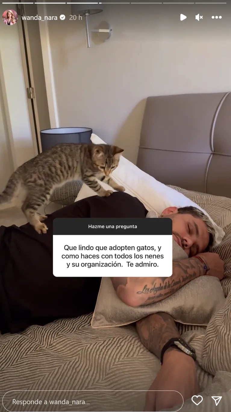 Wanda Nara mostró a la gatita de su hija Francesca sobre la espalda de Mauro Icardi: el dulce video
