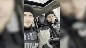 Estos policías se han hecho cargo de un gato que perdió a su familia