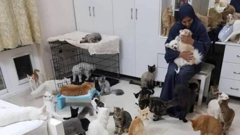 Mujer convive con 480 gatos y 12 perros y gasta 8 mil dólares al mes para mantenerlos