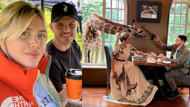 Wanda Nara y Mauro Icardi estaban desayunando y fueron sorprendidos por una jirafa.
