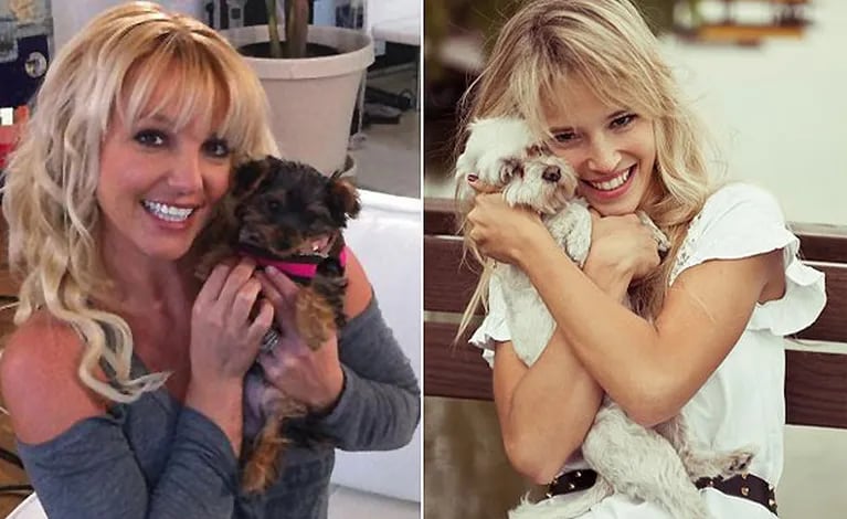 Britney Spears se "copió" de Luisana Lopilato: ¡le abrió un Twitter a su perro!