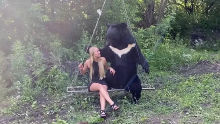 A este oso le gusta que lo hamaquen