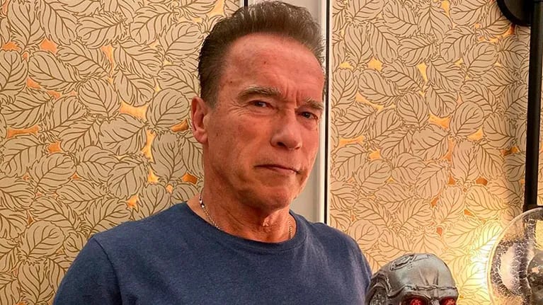 Arnold Schwarzenegger dará el salto a la TV con una serie de aventuras