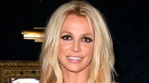 Cuánto cuesta el vino argentino que Britney Spears recomendó encantada en sus redes.