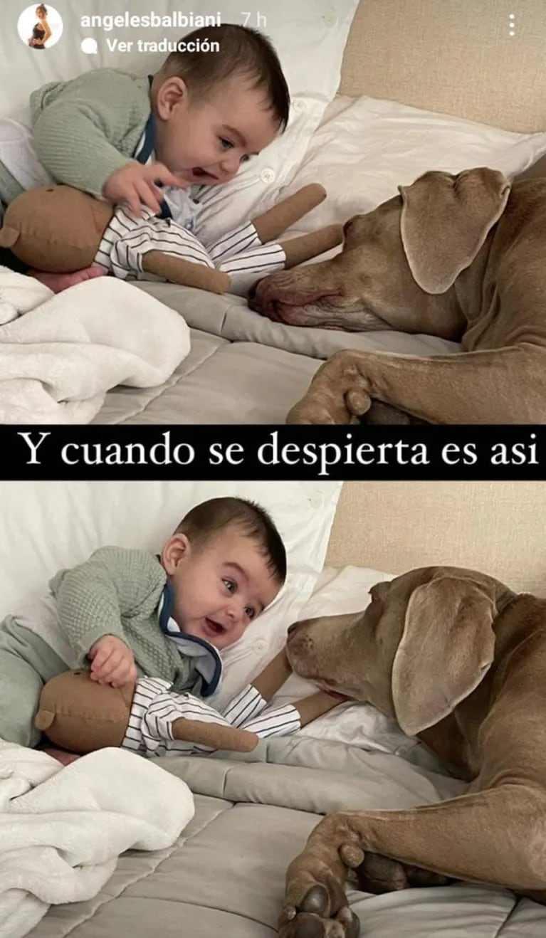 Angie Balbiani publicó las fotos más dulces de su hijo Cósimo durmiendo con su mascota: "Siesta en casa"