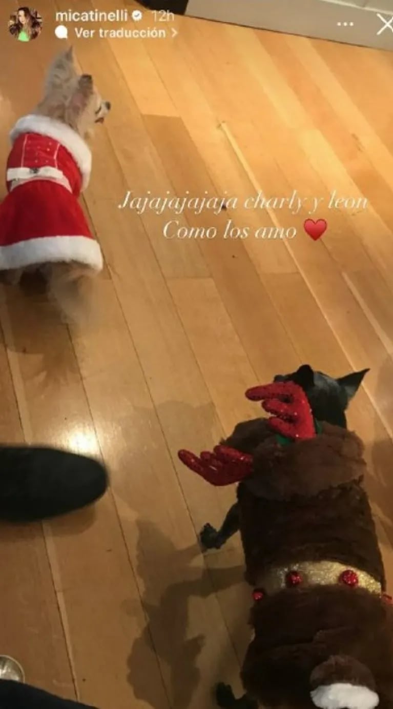 Así disfrazó Mica Tinelli a sus mascotas para Navidad: "Charly y León"