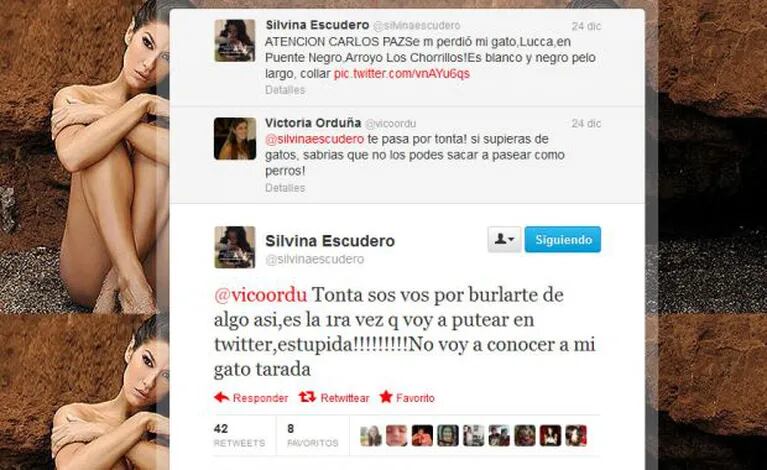 Los tweets de la polémica entre Silvina y una usuaria de la red social (Foto: Captura). 