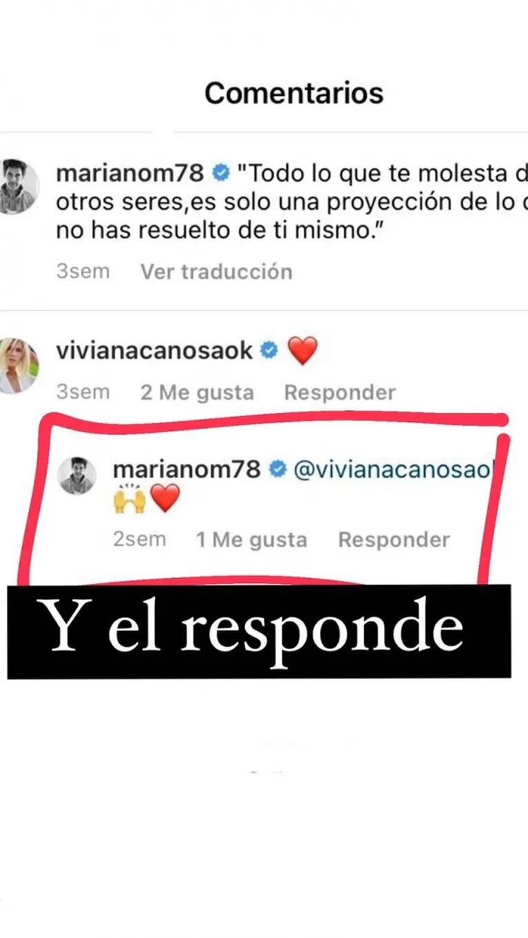 Juariu mandó al frente a Viviana Canosa y Mariano Martínez: llamativos likes y comentarios en redes