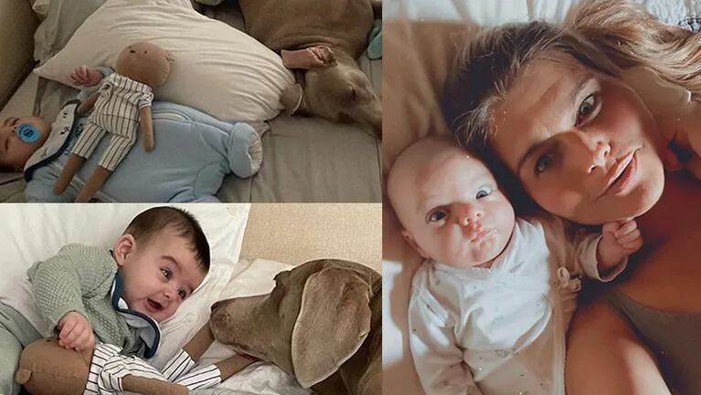 Angie Balbiani publicó las fotos más dulces de su hijo Cósimo durmiendo con su mascota.