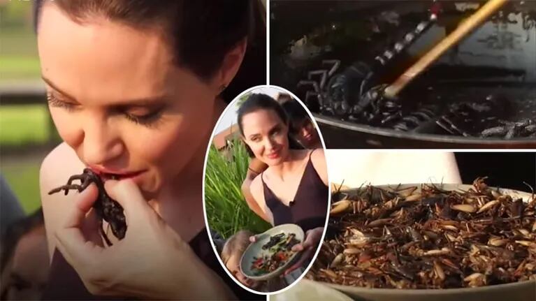Angelina Jolie se cocinó un salteado de insectos y lo compartió con sus hijos. Foto: Twitter