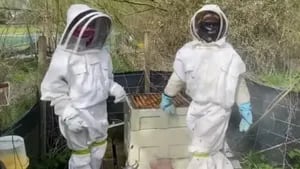 Dos hermanos de 10 y 8 años son apicultores junto a su padre