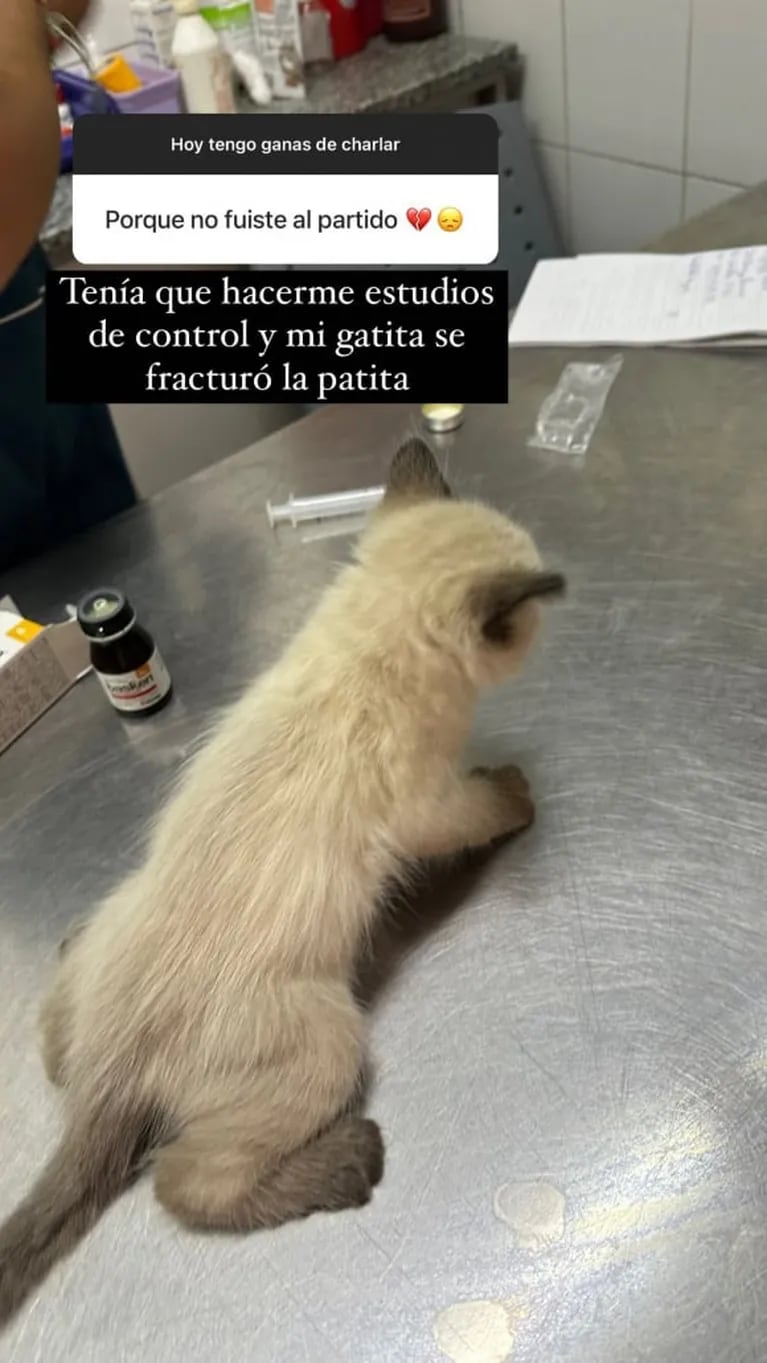 Coti Romero mostró a su nueva mascota y reveló que sufrió un accidente: "Se fracturó la patita"