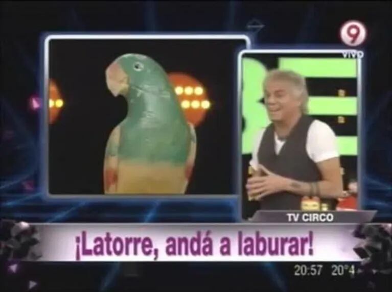 Beto Casella, lapidario contra Yanina Latorre: “Ha sido nefasto su paso por Canal 9” 