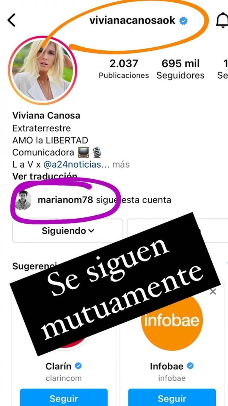Juariu mandó al frente a Viviana Canosa y Mariano Martínez: llamativos likes y comentarios en redes