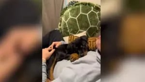Esta chica enseña a aullar a su cachorro