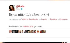 Thalía se convirtió en mamá por segunda vez y lo contó por Twitter (Foto: Web)