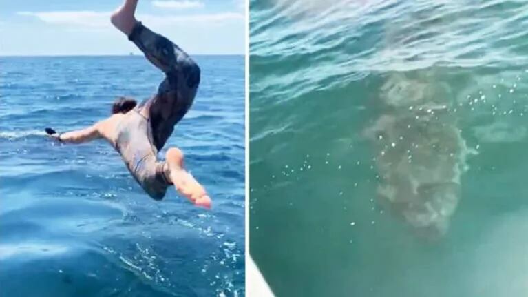 Joven cree nadar con inofensivo tiburón peregrino pero comete un grave error