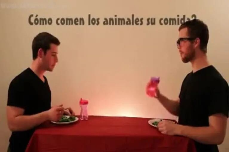 El video que es furor en YouTube: Cómo se alimentan los animales