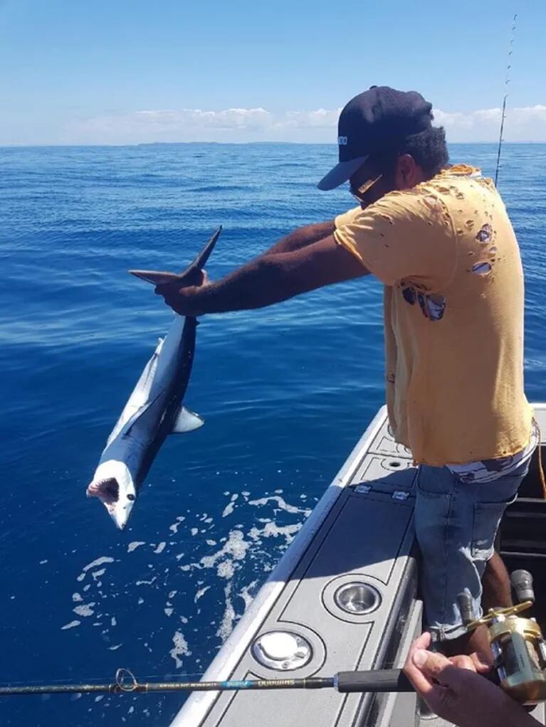 ¡Impresionante! Un pescador derrotó a un tiburón con sus propias manos