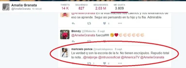 Los tremendos tweets contra Rial que Granata marcó como "me gusta"