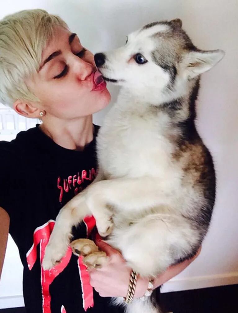 Miley Cyrus, angustiada por la muerte de su perro. (Foto: Twitter)